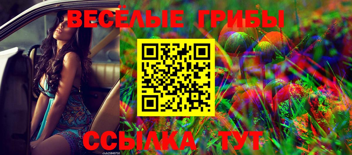 Псилоцибиновые грибы мицелий  Вход с VPN  Балашиха 